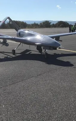 Şimdi Sezgin'in piknikçileri düşünsün