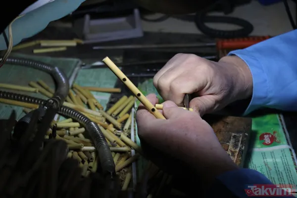 Burdur Altınyayla'da bin yıldır çalınan Yörük çalgısı sipsi coğrafi tescil aldı - 1