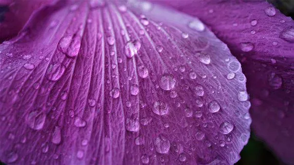 yaz-yagmuru-sanmayin-firtina-geliyor-meteoroloji-uyardi-saganak-yagis-yolda-iste-il-il-gunluk-haftalik-hava-du-1659938885773.jpg 11,12,13 Ağustos 2022 HAVA DURUMU || Yağış için saat verildi! Turuncu kod uyarısı verildi! Evden çıkmayın...-6