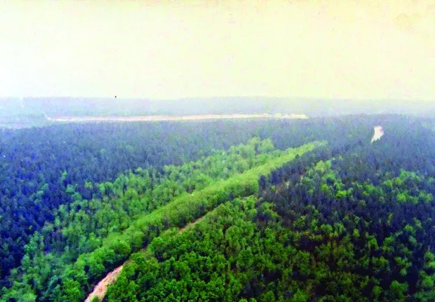 Koç Holding’in orman talan ettiği görüntüler ortaya çıktı