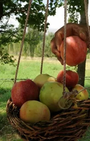 MEYED: İçecek fiyatları artmayacak