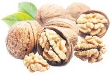 Ceviz prostatı yeneriz