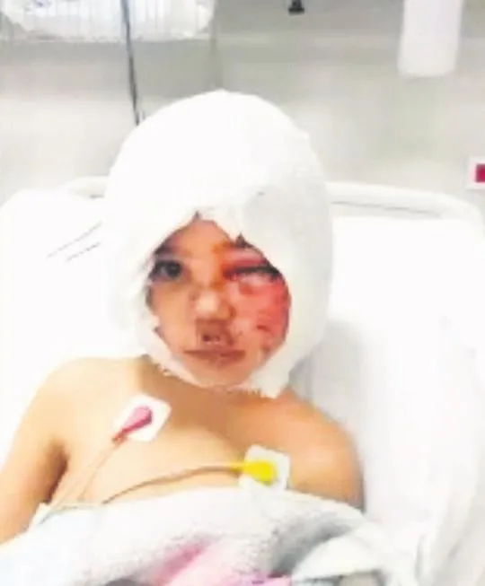 Sahibinden satılık vahşet! Büyüdükçe canavara dönüşen yavruları tam 10 bin TL'ye satıyorlar-8