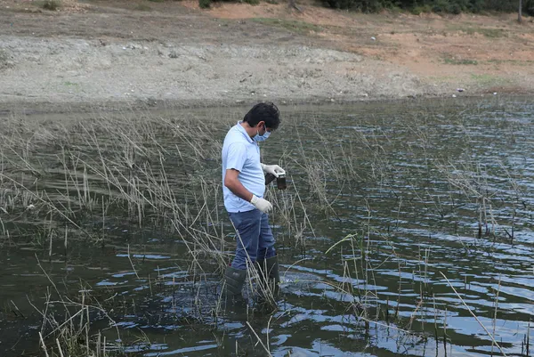 istanbul-il-tarim-ve-orman-mudurlugu-alibeykoy-barajinda-kiyiya-vuran-baliklardan-ve-sudan-numune-aldi-1627235236584.jpg İstanbul İl Tarım ve Orman Müdürlüğü, Alibeyköy Barajı'nda kıyıya vuran balıklardan ve sudan numune aldı-3