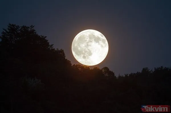 Bugün kendinize hakim olun! Oğlak dolunayı geliyor! 13 Temmuz Oğlak dolunayı burçları nasıl etkileyecek? Oğlak, Aslan, Boğa, Balık burçları dikkat! - 12