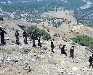 Hainler bir bir teslim oluyor