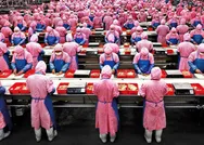 Çip krizi Appleı da vurdu! iPhone üretimleri duruyor mu?