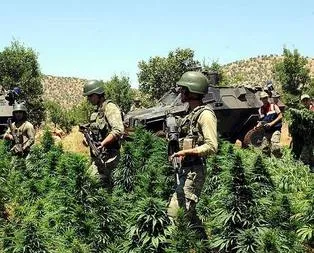 7 bin askerle dev operasyon