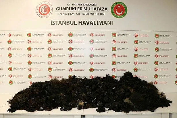 gorenler-saskina-dondu-tam-93-kilo-degeri-1-milyon-340-bin-lira-1687862561640.jpeg Görenler şaşkına döndü! Tam 93 kilo... Değeri 1 milyon 340 bin lira-3