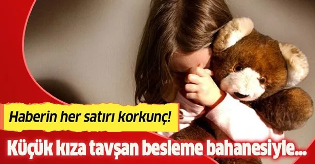 Son dakika: 11 yaşındaki kıza tavşan besleme bahanesiyle  cinsel istismarda bulundu!
