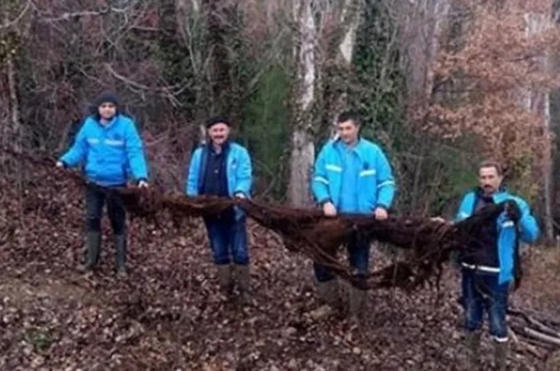 İçme suyu hattından çıktı!