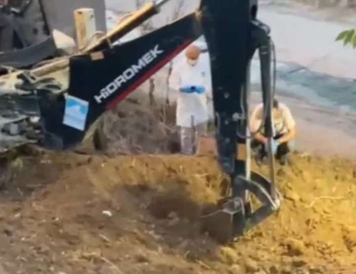 Kan donduran cinayet! Parçalara bölüp gömmüşler