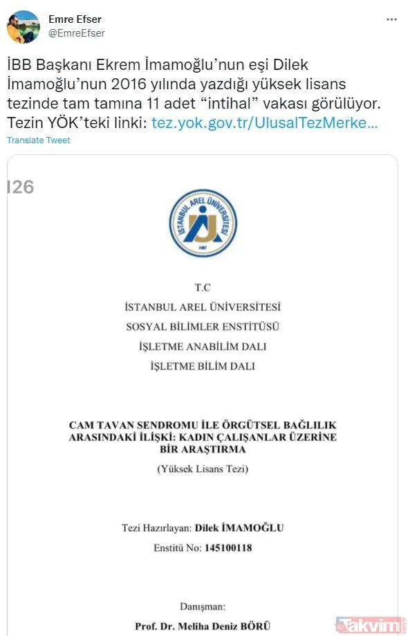 CHP'li İBB Başkanı Ekrem İmamoğlu'nun eşi Dilek İmamoğlu'nun tezinde sayfalarca intihal çıktı - 4