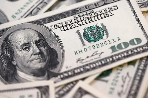 Son dakika: Merkez Bankası dolar tahminini açıkladı!