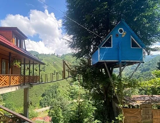 Rize’de iki kardeş çocukluk hayalini gerçekleştirdi: Ağaç eve asma köprüyle ulaşıyorlar
