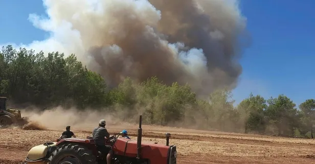 Muğla Seydikemer'deki yangın zeytin bahçelerine sıçradı!