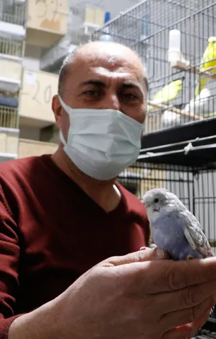 İki çift ile başladı! 50 muhabbet kuşu oldu