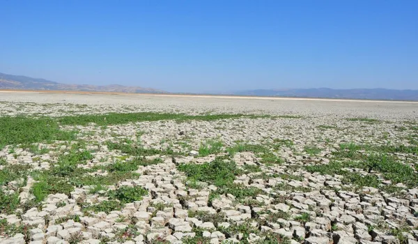 tarim-ve-orman-bakanligi-tamamen-kuruyan-marmara-golunun-kurtarilmasi-icin-calisma-baslatti-1651823285003.jpg Tarım ve Orman Bakanlığı tamamen kuruyan Marmara Gölü'nün kurtarılması için çalışma başlattı-9