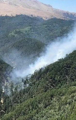 Son dakika: Isparta'da orman yangını! Anında müdahale edildi