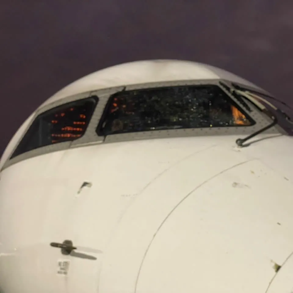 Osimhen ve Ndidi’nin korku dolu anları!