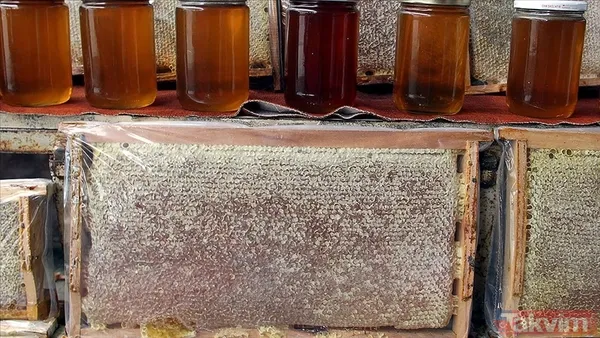 Kavanoz dolusu zehir! Bakanlık organik dolandırıcıları tek tek ifşa etti: Meğer bal diye... - 10