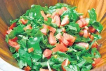 Terenin sağlığa 4 önemli faydası