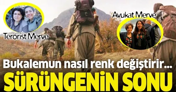 İmha edilen PKK’lı terörist Doktor Amara’nın sağ kolu olan avukat Merve Nur Doğan tutuklandı