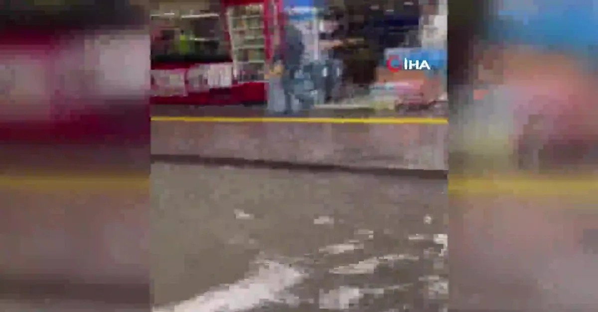 Göle dönen caddede balık tutmaya çalıştı