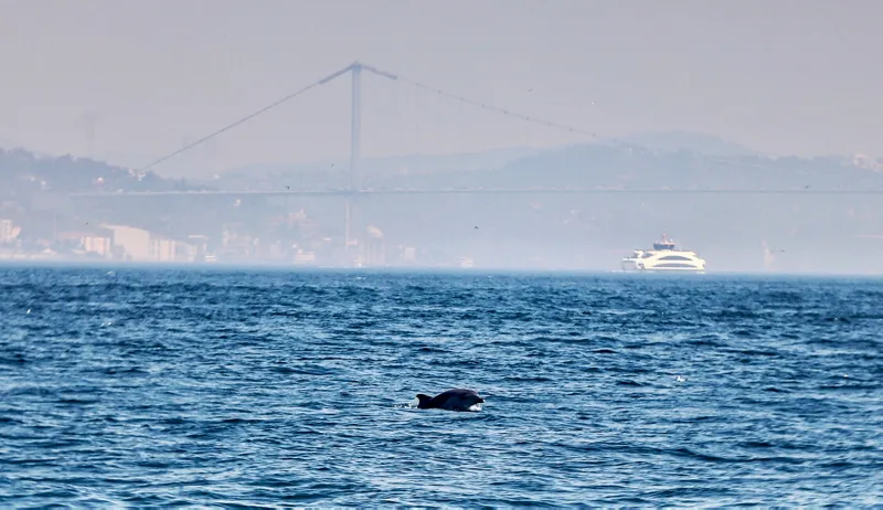 Meteoroloji'den son dakika hava durumu raporu | 1 Nisan 2019 İstanbul'da hava nasıl olacak? - 1