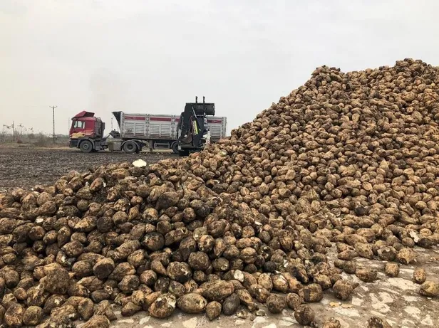 Şekerdeki zammın sebebi stokçular: Bağımlılık bitti üretim tam gaz! Depolar ağzına kadar dolu-2