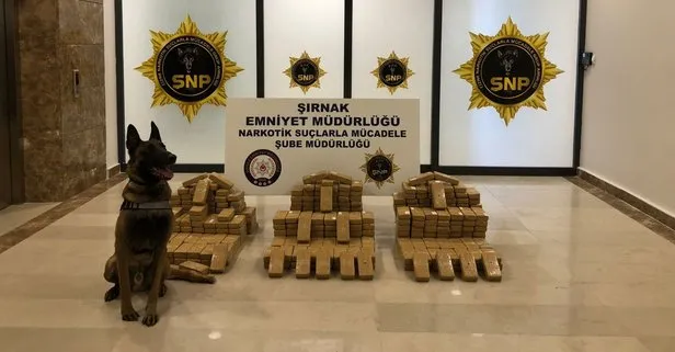 Şırnak’ta bölücü terör örgütü PKK’ya düzenlenen operasyonda 209 kilogram eroin ele geçirildi