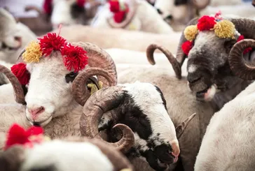 Kurban Bayramı’nın 1. günü ne zaman? Bayram arefesi hangi güne denk geliyor? 2025 Diyanet takvimi