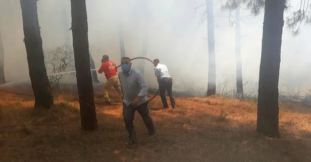 Son dakika: Kartal Aydos'ta ormanlık alanda yangın