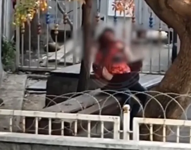 bu-ne-rezalet-1668008476419.jpeg Bu ne rezalet! Bebek'teki cinsel ilişki skandalı sonrası Pendik'te bir parkta uygunsuz görüntüler-3