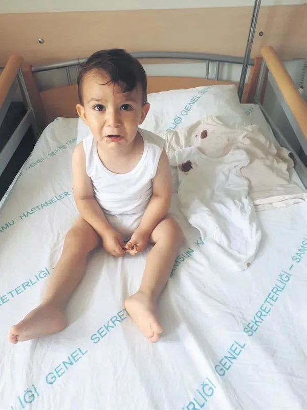 'Şebap Güvercin Festivali'nde otomobil fiyatına güvercinler podyuma çıktı (Yaşam haberleri)-3