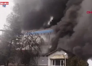 Trabzon’da fındık fabrikasında yangın çıktı