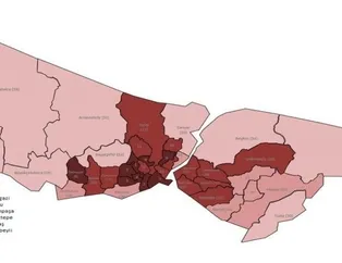 İstanbul'un corona virüs salgınında en riskli ve en az riskli ilçeleri hangisi? İşte İstanbul'un korona haritası...