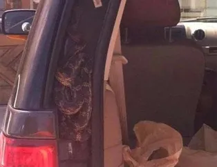 Dünyanın en şanssız insanları