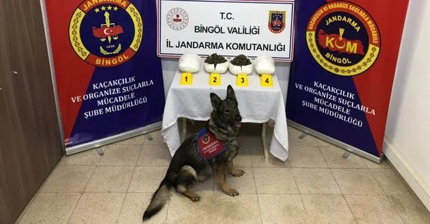 ’İmla’ ve ’Ezber’ isimli köpekler 2,2 milyon TL’lik uyuşturucu yakaladı