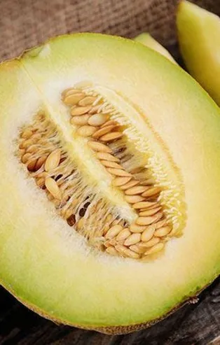 Kavun şifa dolu (Sağlık haberleri)