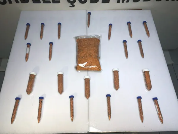 piyasa-degeri-500-bin-dolar-mersinde-102-gram-kaliforniyum-ele-gecirildi-1646636445933.jpg Piyasa değeri 500 bin dolar! Mersin'de 102 gram kaliforniyum ele geçirildi-6