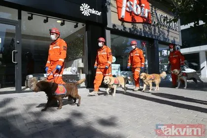 Jandarma Arama Kurtarma ekibindeki köpekler, hassas burunlarıyla enkaz altındakileri hayata bağlıyorlar