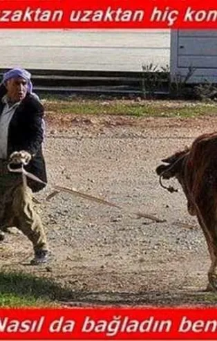 İşte birbirinden komik kurban capsleri