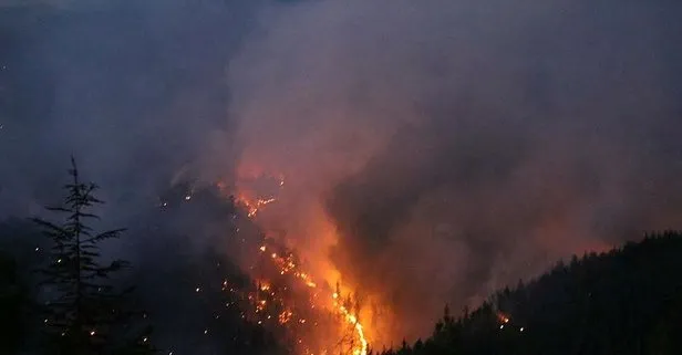 Kaş ve Erdek’teki orman yangınları kontrol altına alındı