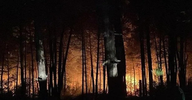 İstanbul Çekmeköy’de korkutan orman yangını!