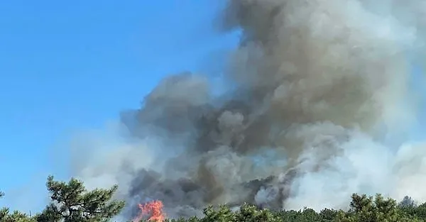 Son Dakika Istanbul Kayisdagi Nda Korkutan Yangin Kontrol Altina Alindi Takvim