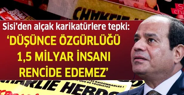 Sisi'den karikatürlere tepki: Bizim de haklarımız var