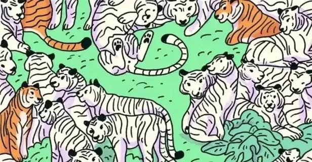 Resimdeki zebrayı bulabilir misin? Hafızan en muhteşem derecede çıkıyor