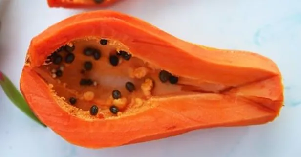 Papaya gençleştirir