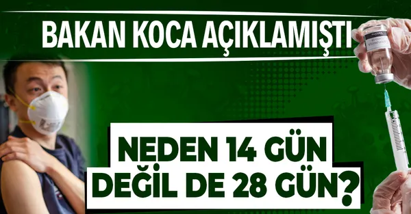 Son dakika: Koronavirüs aşısında ikinci doz neden 28 gün sonra yapılacak? Bilim Kurulu üyesi açıkladı!-1